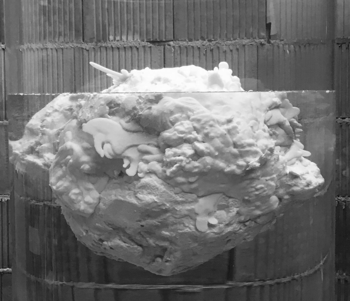 Gross example of a fatberg in a water tank